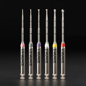 Munce Discovery Burs