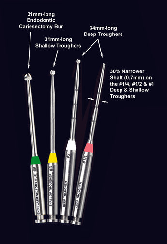 MunceDiscBursFanned4HanChaDENT