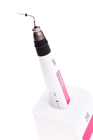 Z-Down® System (3D Obturation)