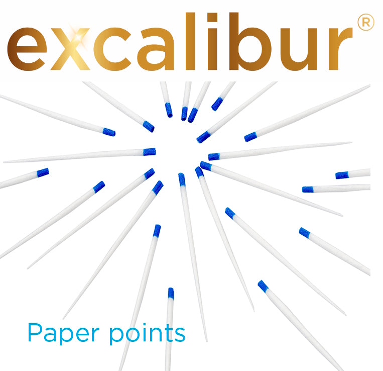Excalibur® Paper Points